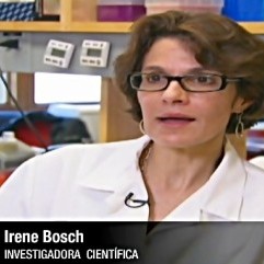 Diario Frontera, Frontera Digital,  IRENE BOSCH, Tecnología, ,Irene Bosch descubre en Venezuela el germen del test rápido para coronavirus