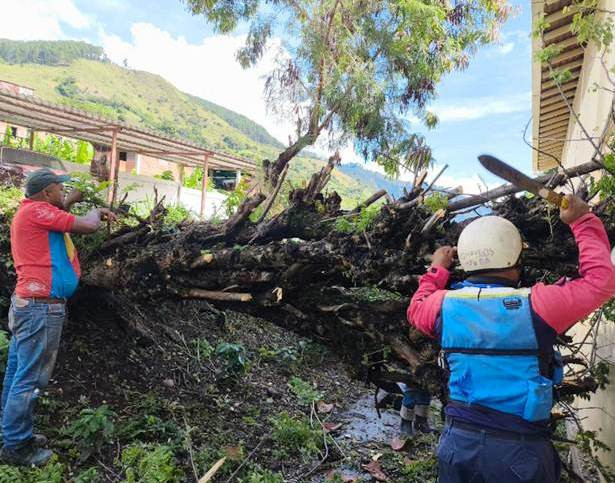 Diario Frontera, Frontera Digital,  Regionales, ,Desde Campo Elías seguimos monitoreando y dando respuesta 
a los diferentes eventos originados por las lluvias