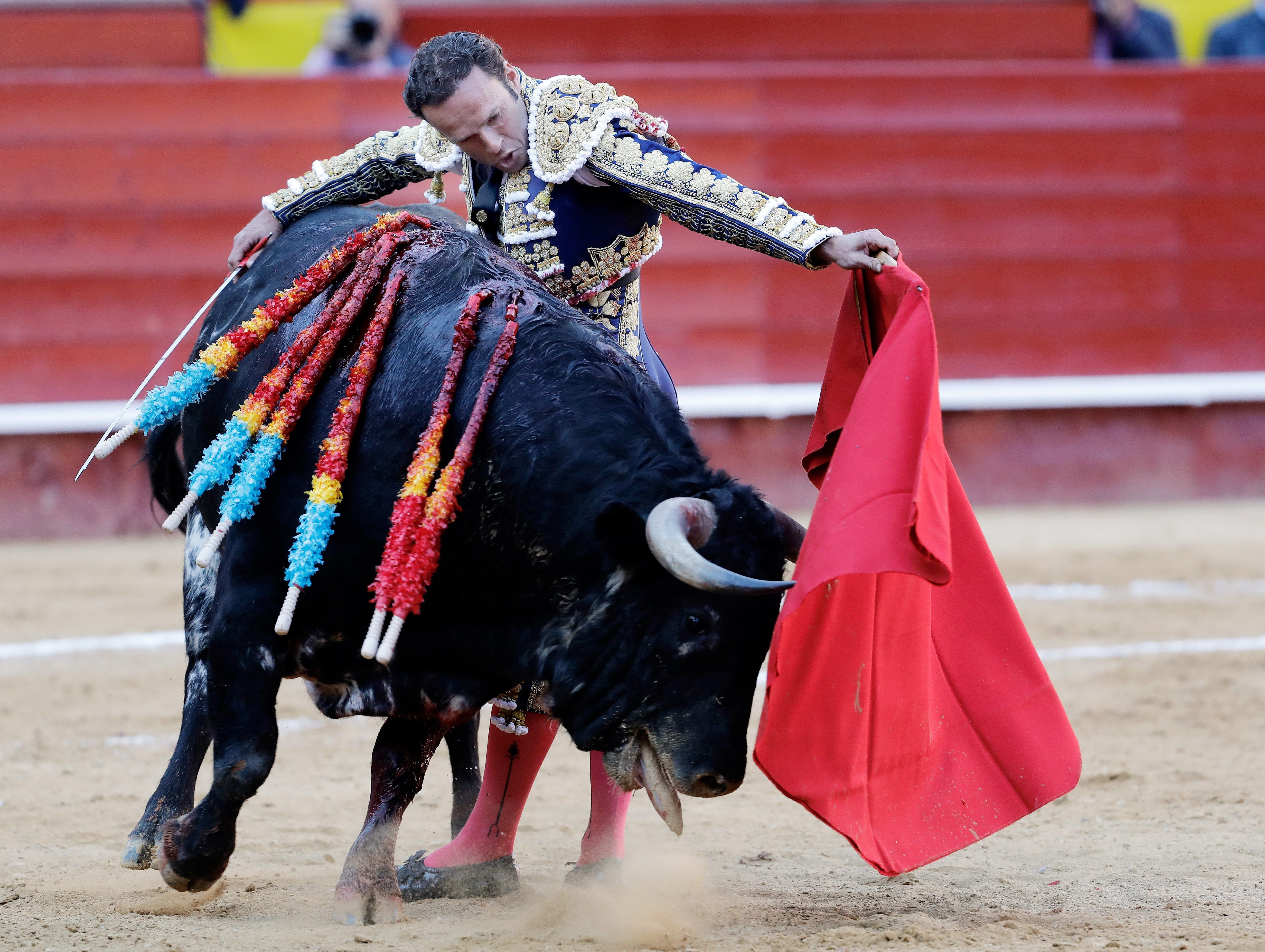 Diario Frontera, Frontera Digital,  Entretenimiento, ,Ferrera se une a la lista de toreros para la Feria del Sol 2025