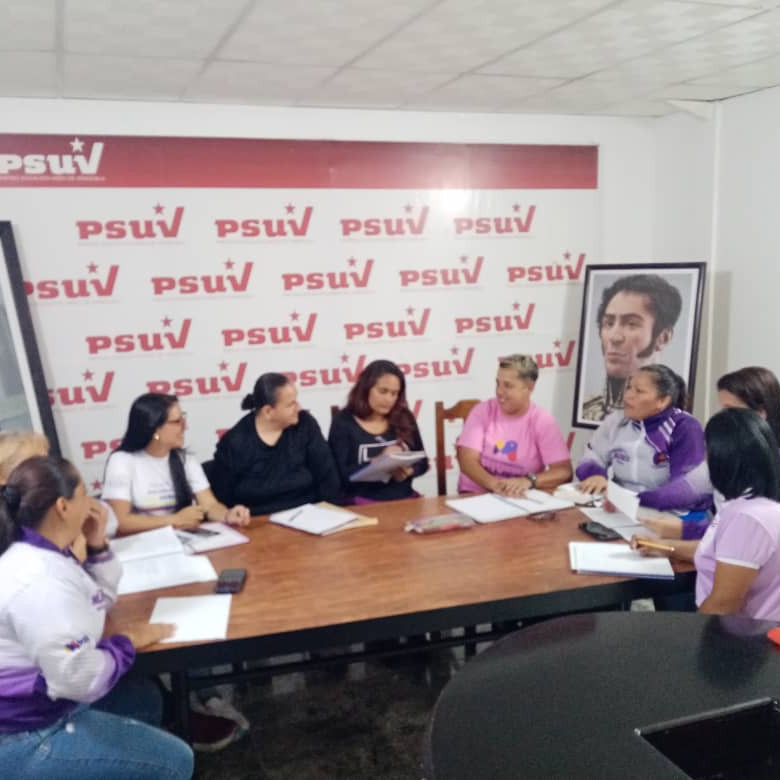 Diario Frontera, Frontera Digital,  Politica, ,Puntos violetas para conformar comités de base y Federación de Mujeres Venezolanas