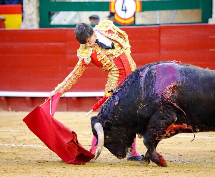 Diario Frontera, Frontera Digital,  Entretenimiento, ,El cañón y la solidez de Peñaranda estrenan la puerta grande; Navalón cuaja la faena de la tarde en Valencia