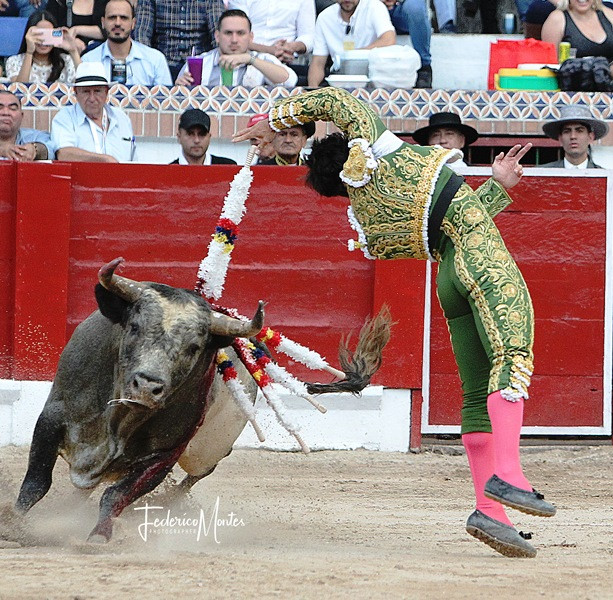 Diario Frontera, Frontera Digital,  Entretenimiento, ,"Colombo” intensifica preparación en campo bravo colombiano