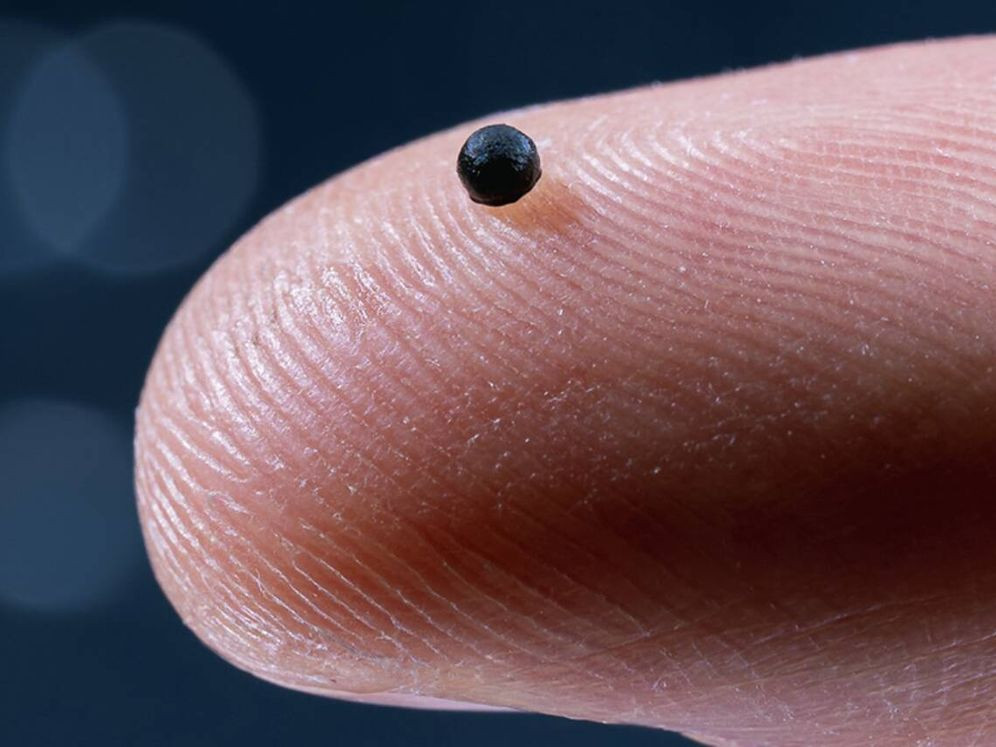 Diario Frontera, Frontera Digital,  Tecnología, ,Suiza crea un micro-robot que navega por la sangre para tratar los ictus