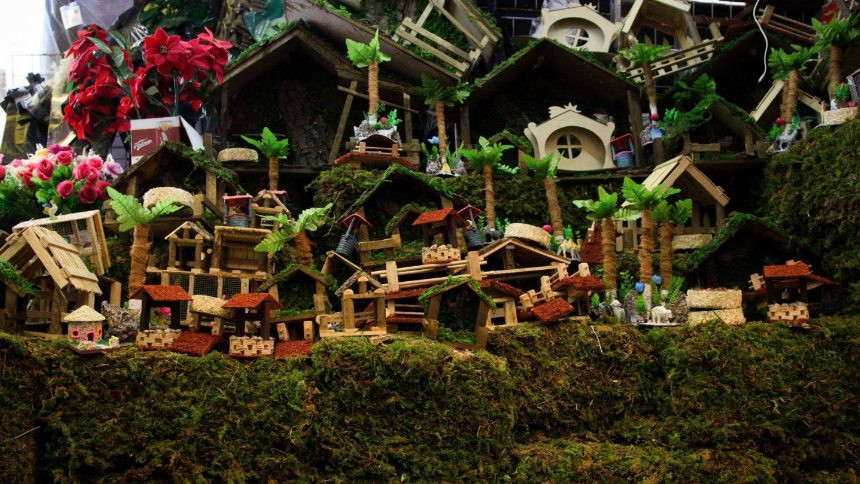 Diario Frontera, Frontera Digital,  Regionales, ,Castillo precisó que se tomarán severas medidas contra quienes extraigan, comercialicen, transporten o se aprovechen del musgo ilegalmente,Sancionarán con hasta 10 mil unidades tributarias 
la extracción de musgo y helechos en Mérida