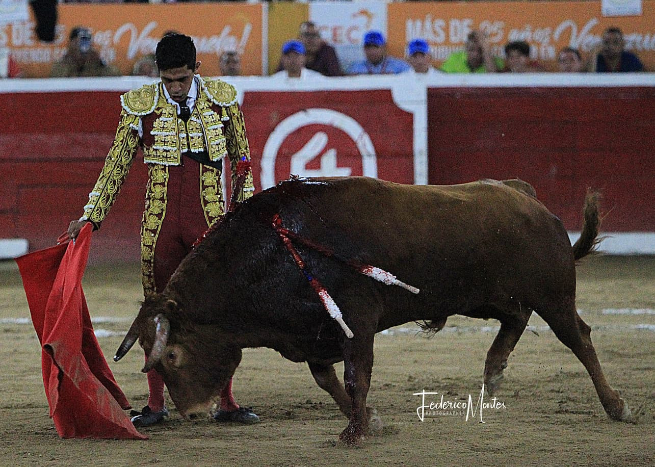 Diario Frontera, Frontera Digital,  Entretenimiento, ,FERIA DE MAYO – PRIMERA CORRIDA | Manolo Muñoz salva del tedio y mansedumbre la primera de feria