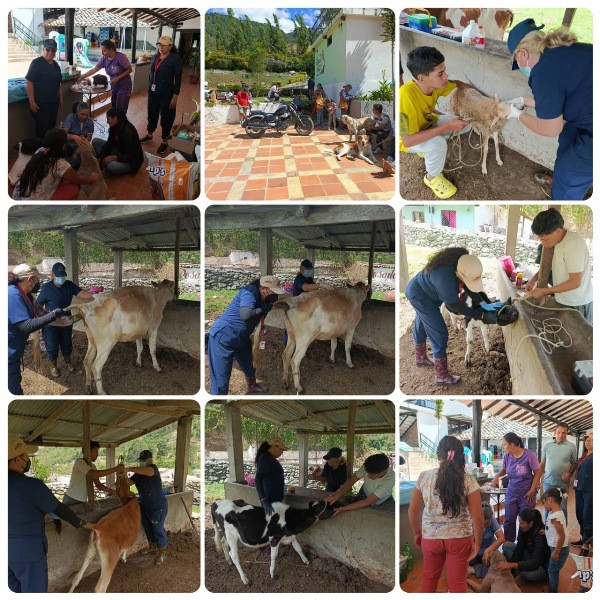 Diario Frontera, Frontera Digital,  Páramo, ,Colegio de Veterinarios realizó una Jornada Especial
de Vacunación en el municipio Rangel de Mérida