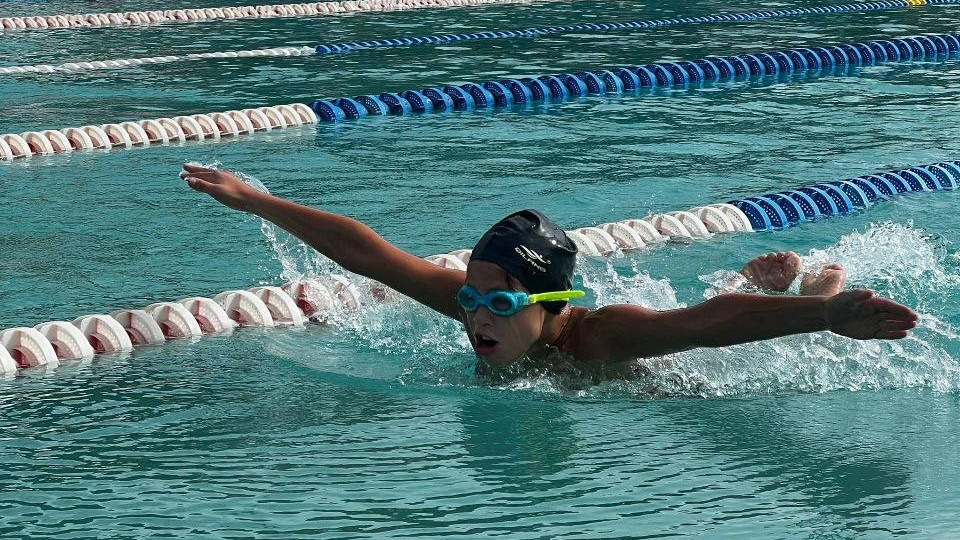 http://fronteradigital.com.ve/Culminó con éxito la IX Copa de Natación Cinco Águilas Blancas en Mérida