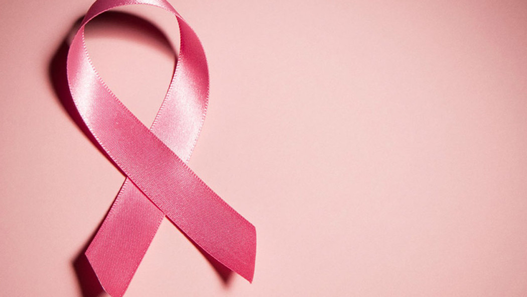 http://fronteradigital.com.ve/Causa Rosa impulsa actividades en Mérida 
en el marco de la lucha nacional contra el cáncer de mama