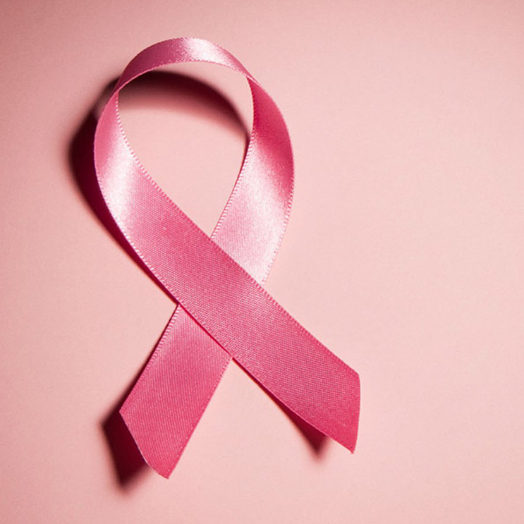 Diario Frontera, Frontera Digital,  Regionales, ,Causa Rosa impulsa actividades en Mérida 
en el marco de la lucha nacional contra el cáncer de mama