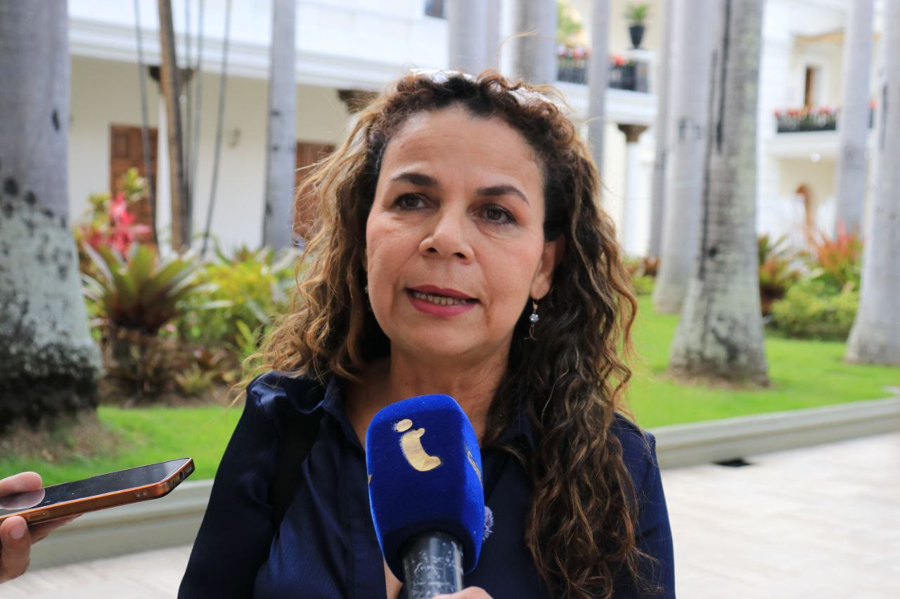 Diario Frontera, Frontera Digital,  Nacionales, ,Iris Varela negó que en Venezuela existan centros de torturas: "Es una patraña"