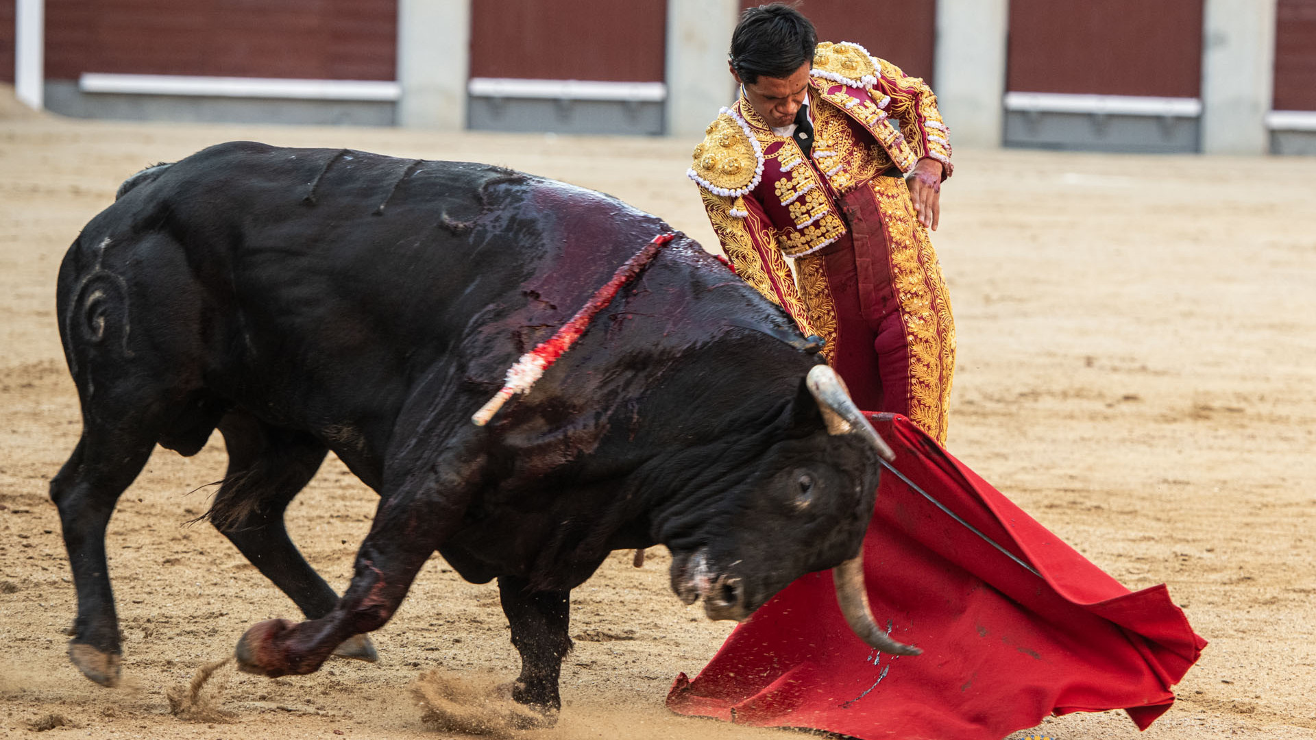http://fronteradigital.com.ve/Novillero peruano Pedro Luis, tomará alternativa de manos de su paisano Roca Rey en Bayona