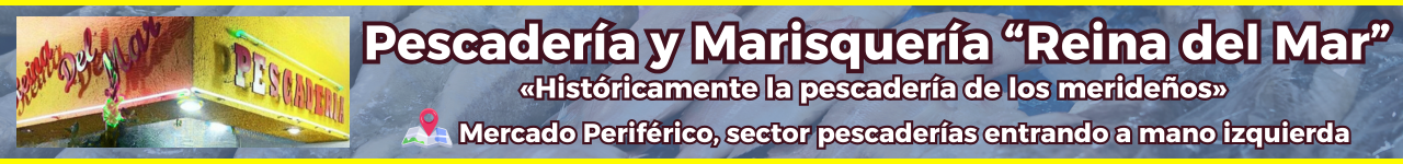 Frontera digital
