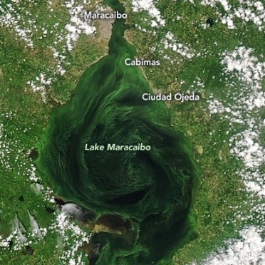 Diario Frontera, Frontera Digital,  LAGO DE MARACAIBO, Nacionales, ,Las fotografías satelitales que muestran la magnitud 
de la catástrofe ambiental en el lago de Maracaibo