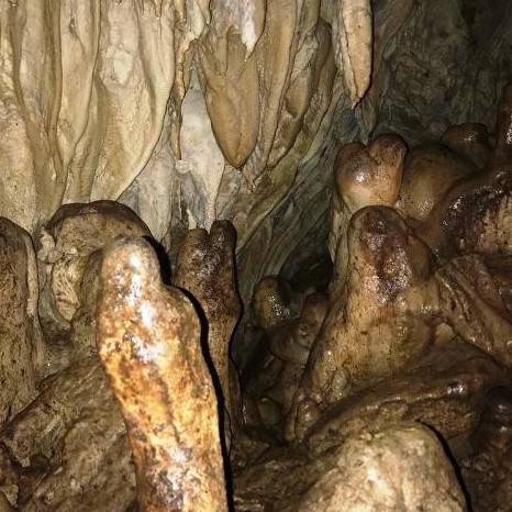 Diario Frontera, Frontera Digital,  cueva descubierta en Zea, Mocoties, ,Expertos recomiendan no visitar cueva descubierta en Zea