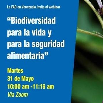 Diario Frontera, Frontera Digital,  FAO VENEZUELA, Día Internacional de la diversidad biológica, ONU, Nacionales, ,FAO Venezuela invita a webinar por el Día Internacional de la diversidad biológica