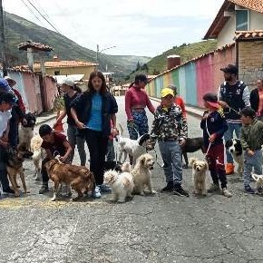Diario Frontera, Frontera Digital,  MUNICIPIO RANGEL, Perrotón, Páramo, ,En Rangel: “Perrotón” en conmemoración del Día del Perro Mucuchíes