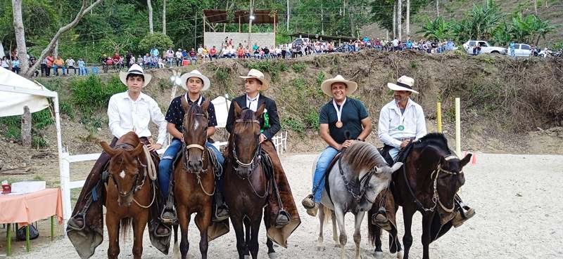 Diario Frontera, Frontera Digital,  ZEA, L CABALLOS DE PASO, MUNICIPIO ZEA, MÉRIDA, Mocoties, ,Ejemplares se dieron cita para participar en el Festival de Caballos de Paso en Zea