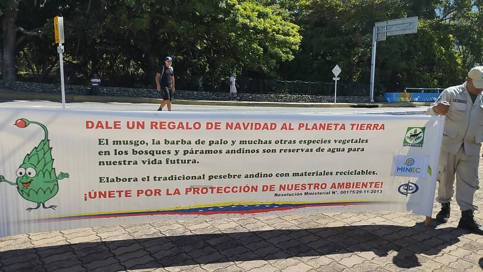 Jehyson Guzmán, Navidad, Ecosocialismo, Toro Belisario, Nicolás Maduro, Musgo, Regionales,