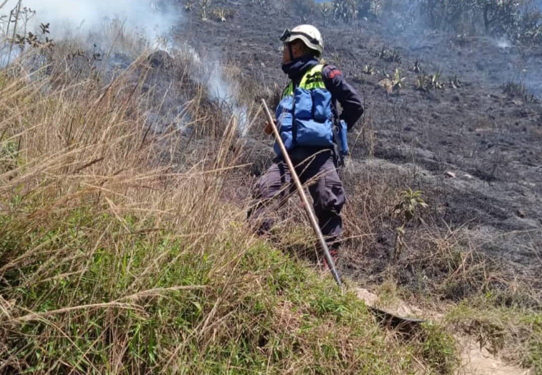 Diario Frontera, Frontera Digital,  BOMBEROS, INCENDIO, TIMOTES, PÁRAMO, MÉRIDA, Sucesos, ,Bomberos controlaron incendio de vegetación 
quedando eliminado el peligro en Timotes