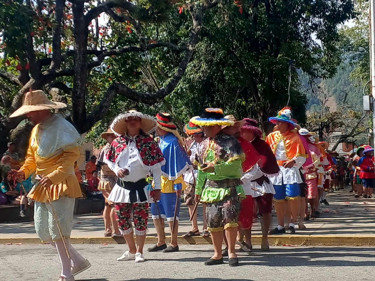  VASALLOS DE LA CANDELARIA, PARROQUIA SANTIAGOI APÓSTOL DE LA PUNTA, MÉRIDA, PADRE EDDUAR MOLINA, Regionales, 
