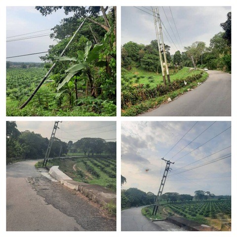 Diario Frontera, Frontera Digital,  CORPOELEC, LOS NARANJOS, ALBERTO ADRIANI, POSTES, El Vigía Panamericana, ,Corpoelec debe solucionar tres postes
en la vía a Los Naranjos de El Vigía
