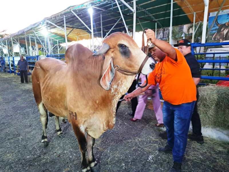  EXPO ASODEGAA 2023, GOBERNACIÓN DE MÉRIDA, El Vigía Panamericana, 