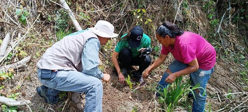 Diario Frontera, Frontera Digital,  FAO, MÉRIDA, Regionales, ,FAO desarrolla en Mérida proyecto 
“Manejo integrado de paisajes de uso múltiple”