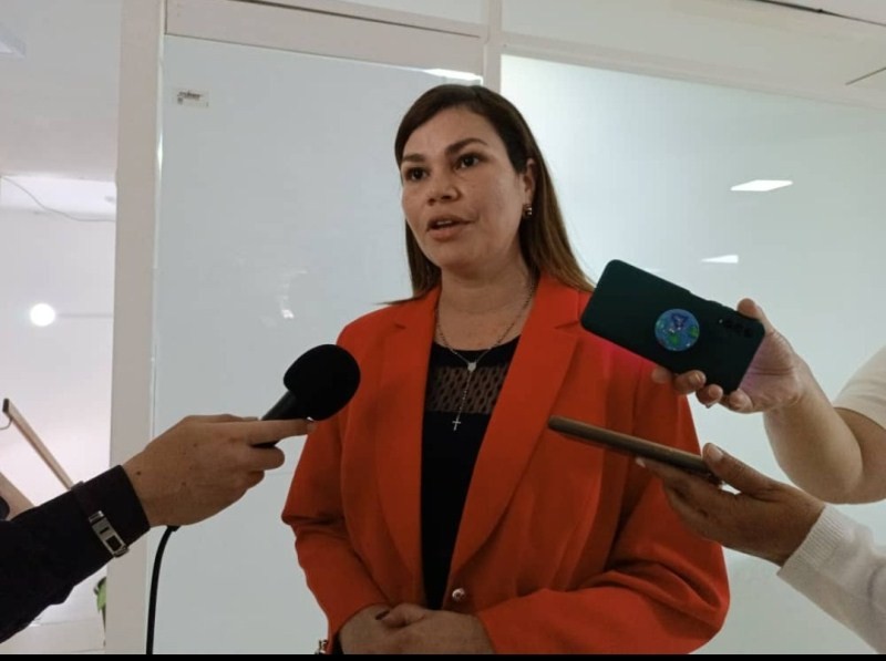 Diario Frontera, Frontera Digital,  LILIANA GUERRERO, UNT, Politica, ,Liliana Guerrero: se agotó el tiempo de espera por una solución al sistema eléctrico en Mérida