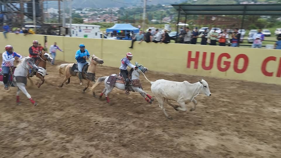 Diario Frontera, Frontera Digital,  JUEGOS DE ABVOGADOS, MÉRIDA 2023, JUEGOS DE ABOGADOS, Deportes, ,Mérida lidera los Juegos Nacionales de Abogados