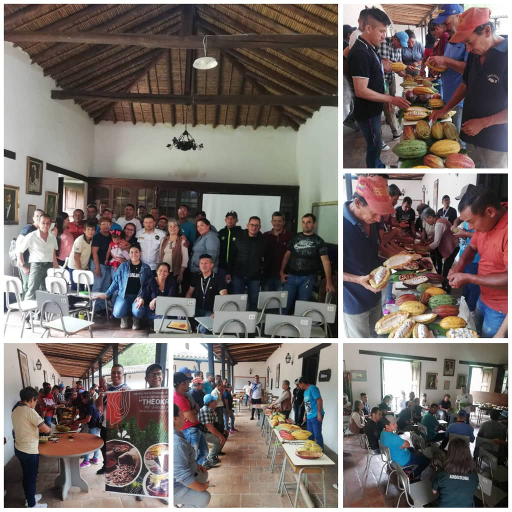 Diario Frontera, Frontera Digital,  Mocoties, ,Asociación Civil Theokao”s realizó I Taller de Caracterización de Cacao Criollo Venezolano