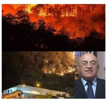 Opinión, 