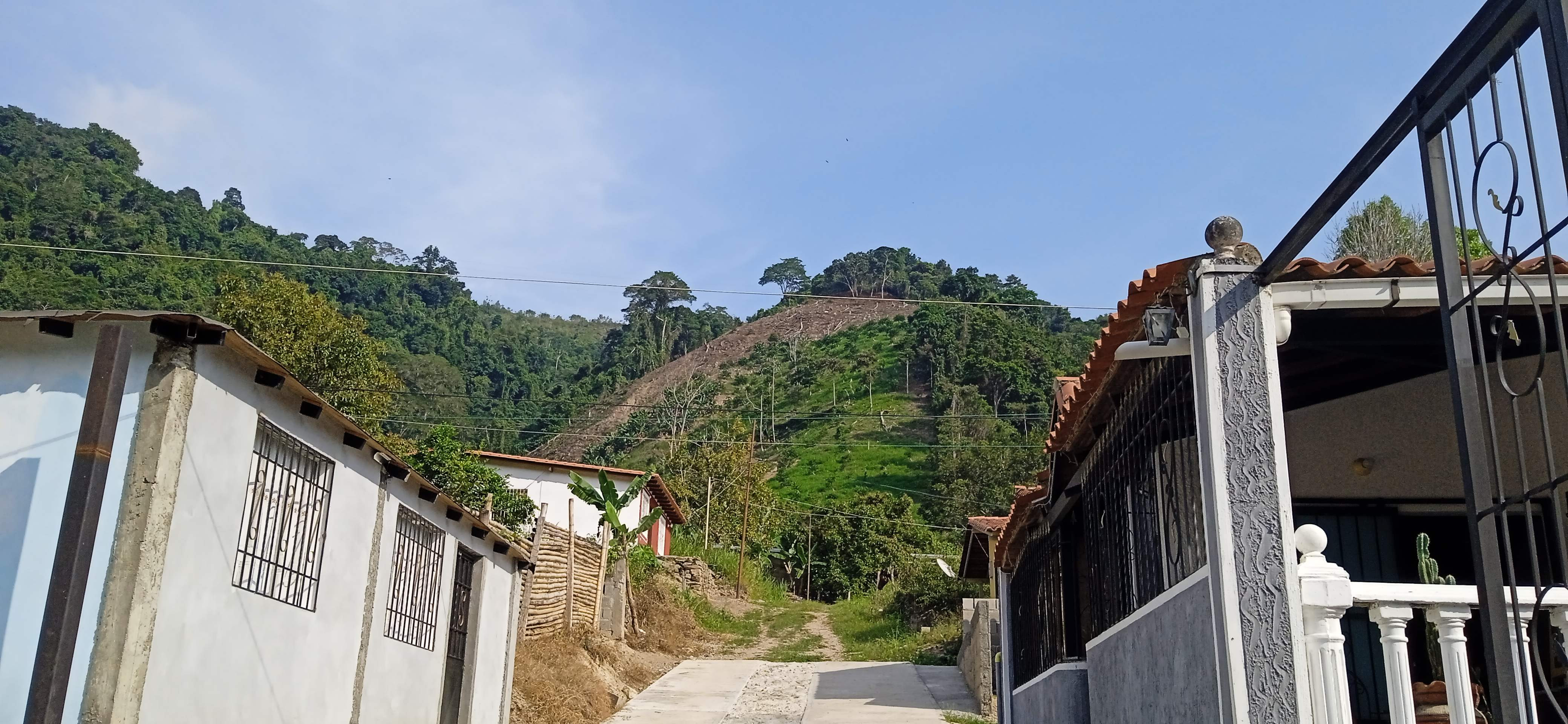 Diario Frontera, Frontera Digital,  Mocoties, ,Vecinos en Zea denuncian deforestación en cerro de San Pedro