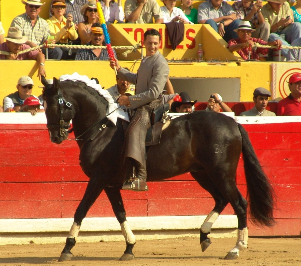 Diario Frontera, Frontera Digital,  Entretenimiento, ,Festejo mixto: reaparece rejoneador José Luis Rodríguez, al lado de su tío y primo