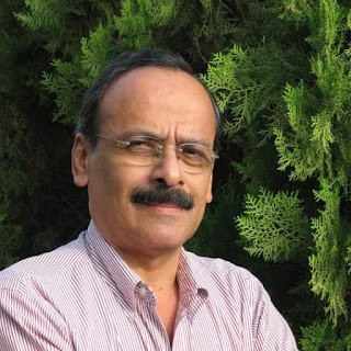 Diario Frontera, Frontera Digital,  Opinión, ,¿Opositores a qué y a quién? por Gehard Cartay