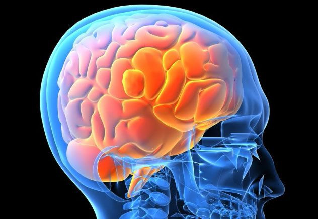 Diario Frontera, Frontera Digital,  Salud, ,El cerebro recuerda más los insultos que los elogios, según la ciencia