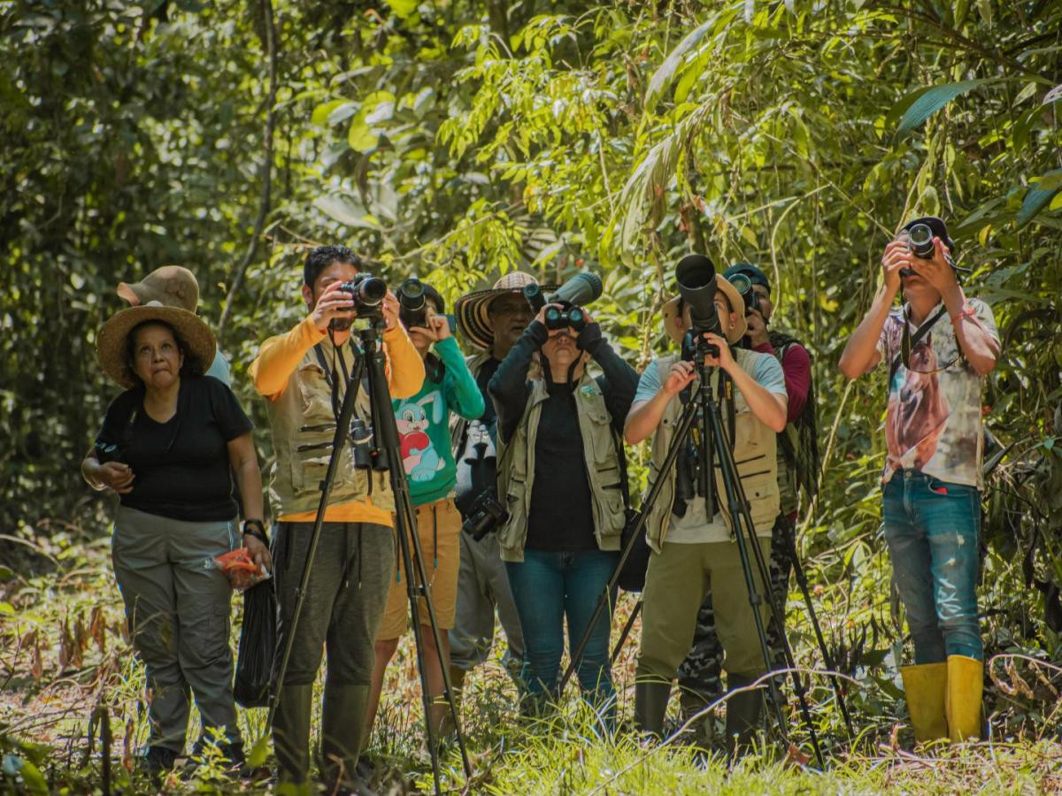 Diario Frontera, Frontera Digital,  Regionales, ,La celebración de este congreso refleja el compromiso del Gobierno Nacional por posicionar al país como un destino de referencia en el turismo de observación de aves,Mérida es la sede del I Congreso Mundial de Aviturismo