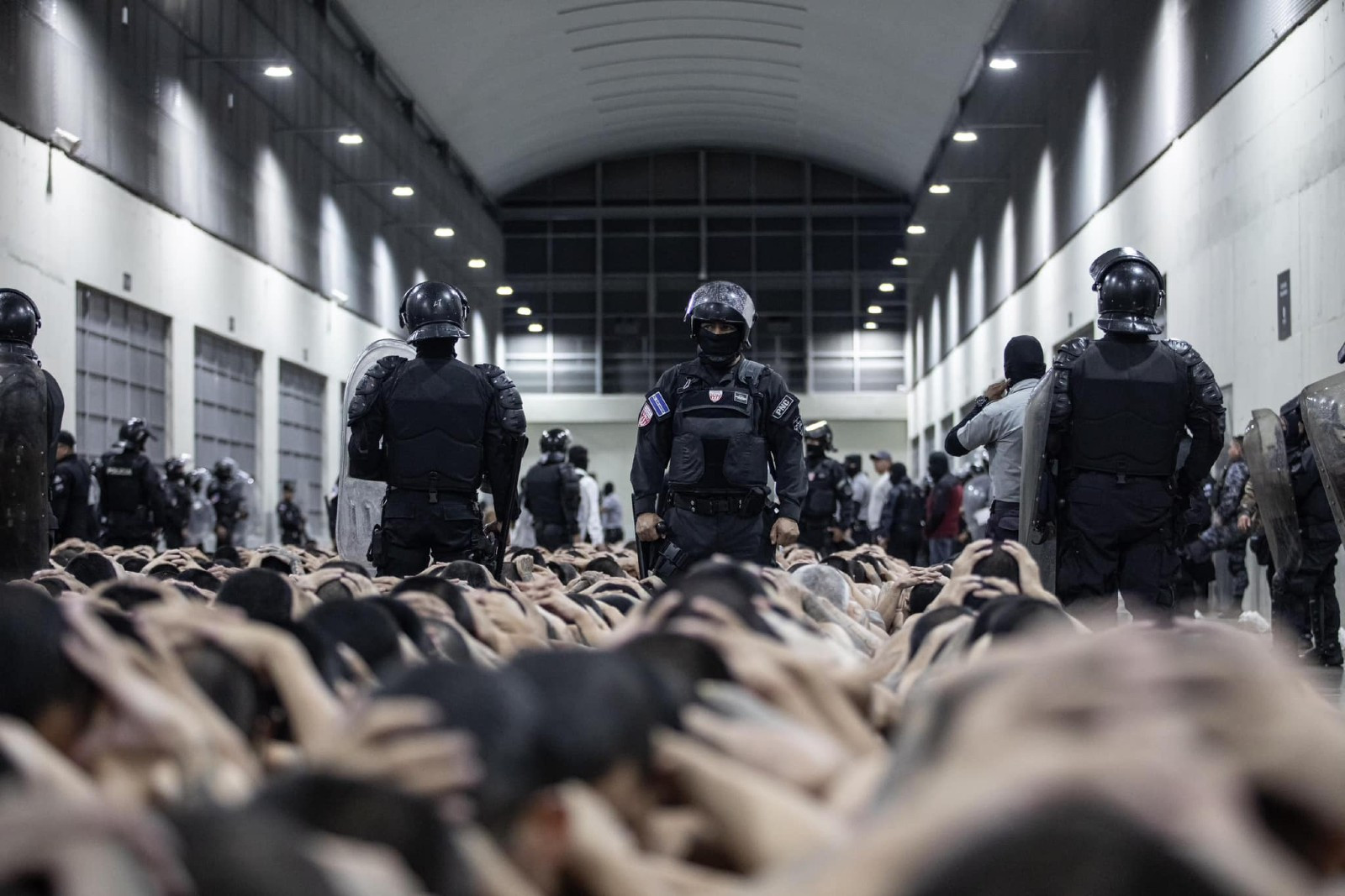 Diario Frontera, Frontera Digital,  Internacionales, ,ONG concluyeron que venezolanos detenidos en el Cecot sufrieron de condiciones carcelarias inhumanas