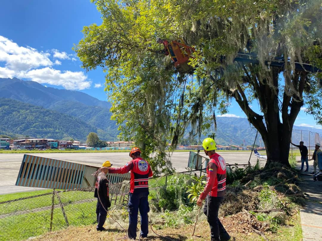 Diario Frontera, Frontera Digital,  Regionales, ,Nuevos trabajos de reparación y rehabilitación de más de 200 metros de la cerca perimetral del Aeropuerto Alberto Carnevali, afectados por las recientes lluvias, se ejecutan de manera coordinada,Rehabilitada la cerca perimetral del Aeropuerto Alberto Carnevali