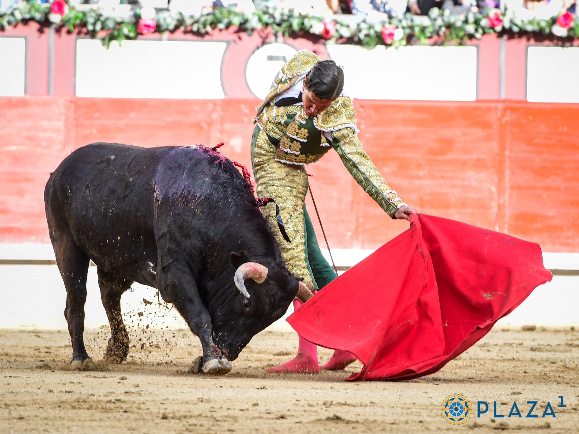 Diario Frontera, Frontera Digital,  Entretenimiento, ,Rafael de La Cueva: Un novillero tachirense con futuro