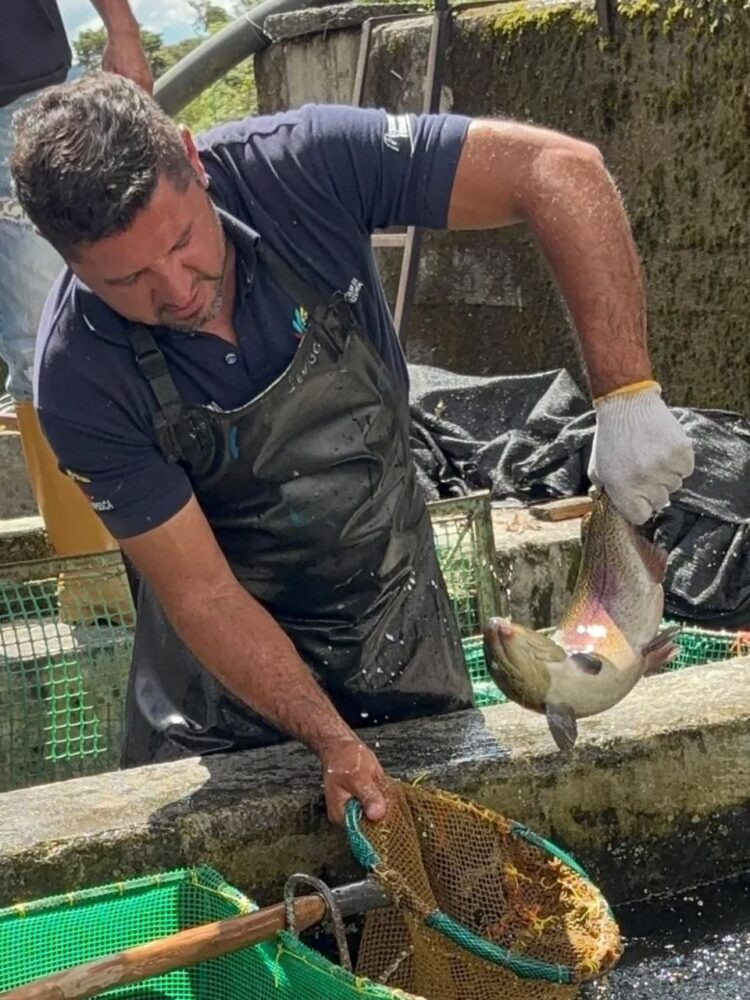 Diario Frontera, Frontera Digital,  Regionales, ,La visita técnica fue encabezada por el director ejecutivo del Cenipa, Eric Ricardo Martínez, quien junto a trabajadores de la estación evaluó el funcionamiento integral de las instalaciones y constató el progreso en cada fase del ciclo productivo de la trucha arcoíris (Oncorhynchus mykiss), desde el desove y la reproducción, hasta la cría y el engorde.,Fortalecen la acuicultura con avances en la Estación Truchícola La Mucuy