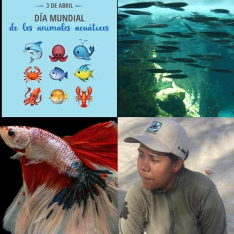  Opinión, 