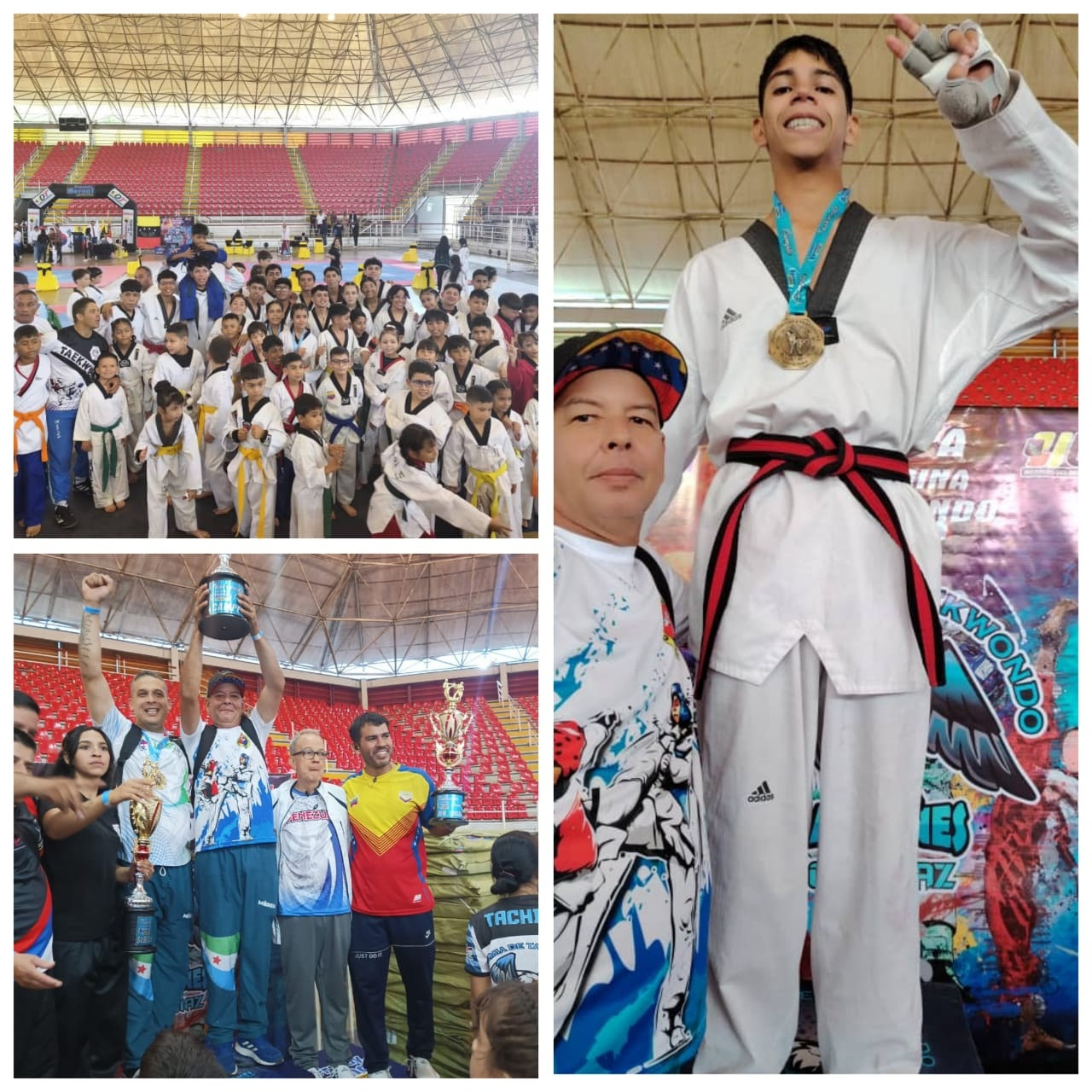 Diario Frontera, Frontera Digital,  Deportes, ,Mérida resultó campeón absoluto en la disciplina taekwondo en la Copa Trasandina disputada en Táchira