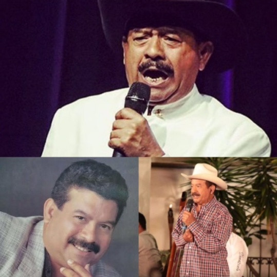  Opinión, 