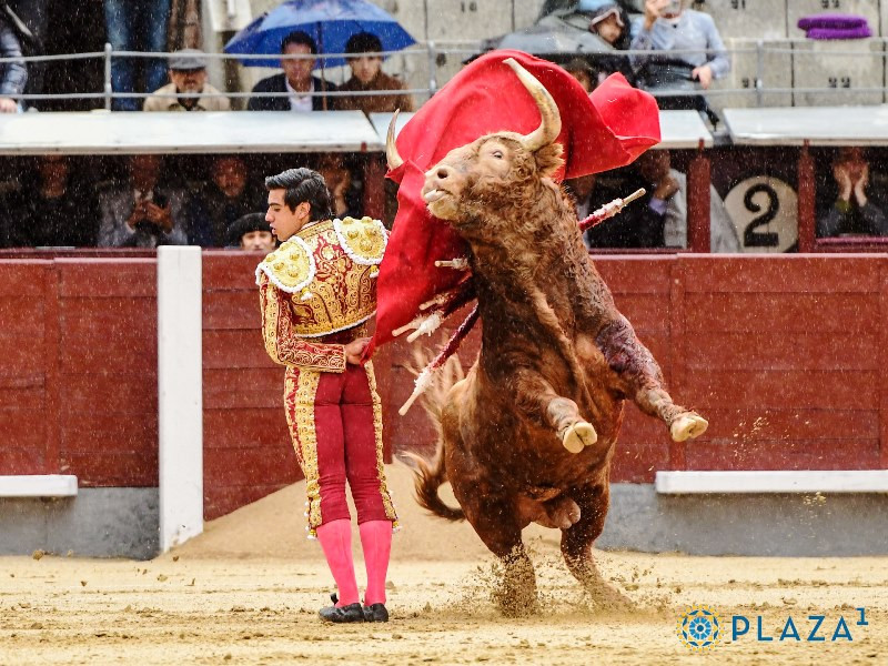 Diario Frontera, Frontera Digital,  Entretenimiento, ,“Colombo” y Solal, la entrega de la juventud tiene premio en Istres