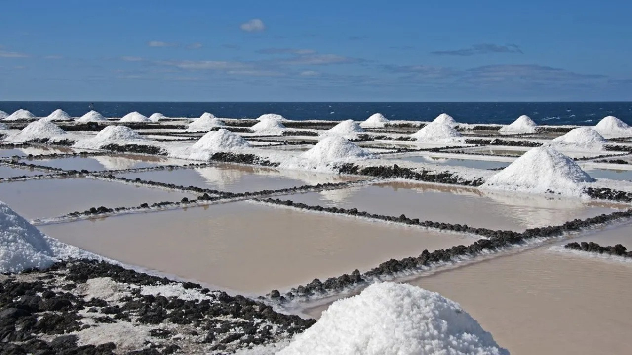 Diario Frontera, Frontera Digital,  Nacionales, ,Buscan la exportación de la sal hacia el mercado colombiano
