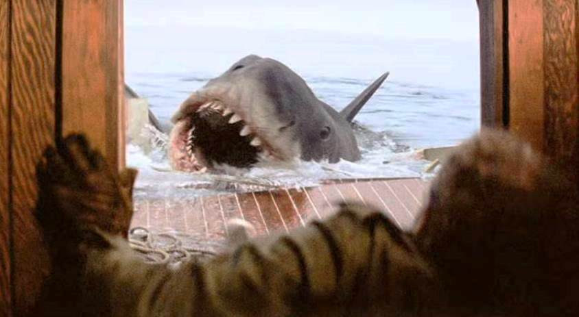 Diario Frontera, Frontera Digital,  Farándula, ,La verdadera historia del rodaje de ‘Tiburón’, 
una película que transformó la industria del cine para siempre