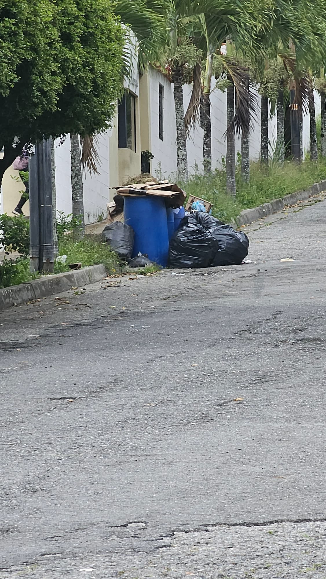Diario Frontera, Frontera Digital,  Regionales, ,Sergidesol llama a la conciencia ciudadana ante emergencia por lluvias en Mérida