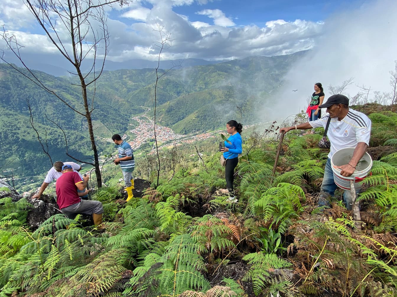 Diario Frontera, Frontera Digital,  Mocoties, ,Zea Reforesta Cerro Morro Negro: Impulso al Turismo Sostenible en La Cuchilla del Niño