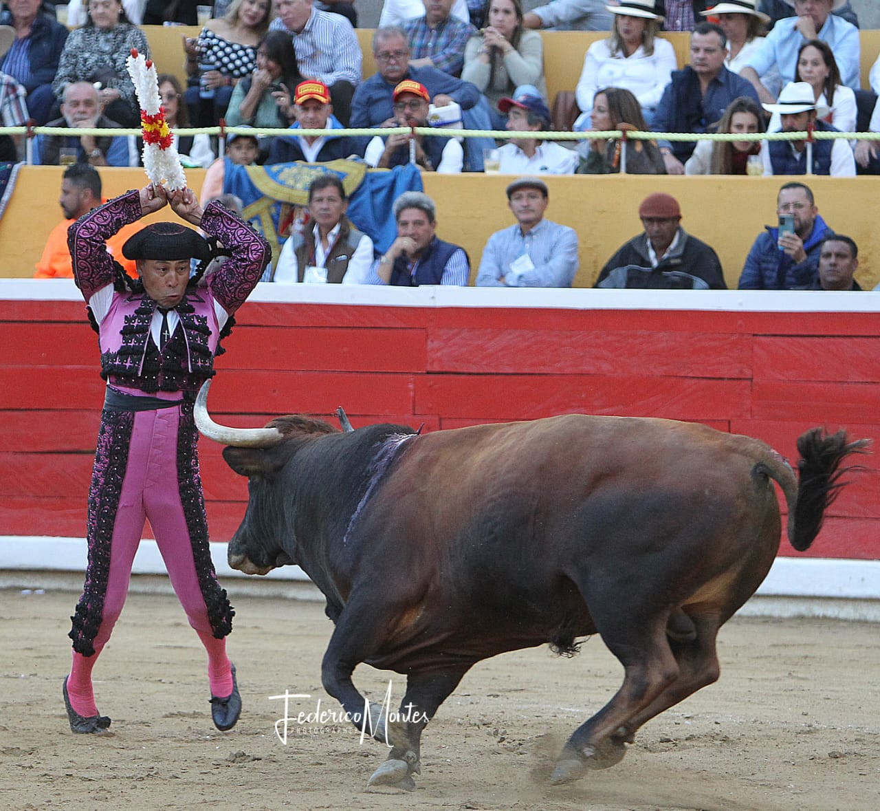 Diario Frontera, Frontera Digital,  Entretenimiento, ,Toros colombianos de Santa Bárbara debutan en la Feria de JSA