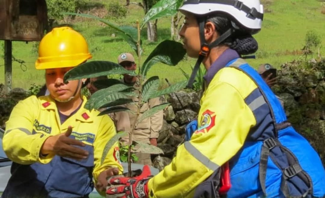 Diario Frontera, Frontera Digital,  Regionales, ,Gran Misión Madre Tierra planta 500 especies arbóreas en microcuenca del río Albarregas